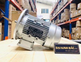 Động cơ điện 0.18KW 1/4HP 4 cực