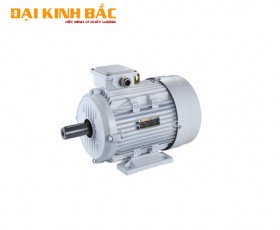 Động cơ điện 0.25kw 1/3HP