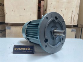 Động cơ điện 0.75kw 1hp 4 cực