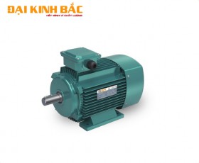 Động cơ điện 1.1kw 1/5hp
