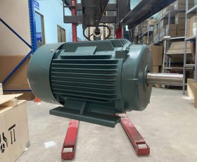 Động cơ điện 15kw 20hp