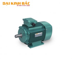 Động cơ điện 1.5kw 2hp