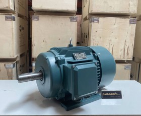 Động cơ điện 18.5kw 25hp 