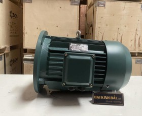 Động cơ điện 22kw 30hp