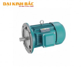 Động cơ điện 2.2kw 3hp
