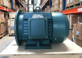 Động cơ điện 30kw 40hp