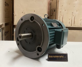 Động cơ điện 55 kw 75hp 