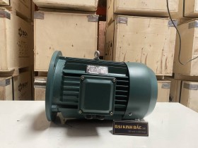 Động cơ điện 7.5kw 10hp