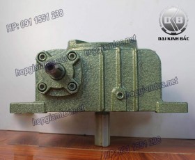 HỘP GIẢM TỐC TRỤC VÍT WPX SIZE 100