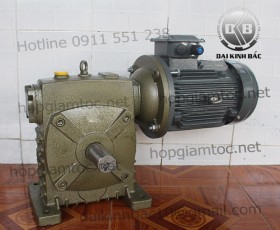 Hộp giảm tốc trục vít wpds size 250