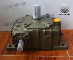 HỘP GIẢM TỐC TRỤC VÍT WPO SIZE 250