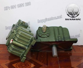 HỘP GIẢM TỐC TRỤC VÍT WPX SIZE 135