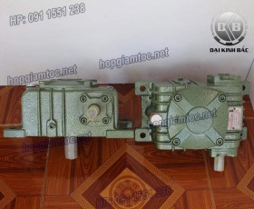 HỘP GIẢM TỐC TRỤC VÍT WPX SIZE 250