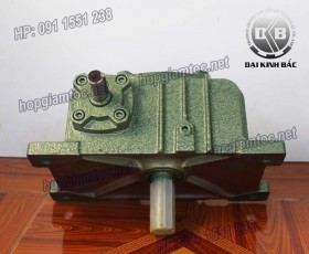 HỘP GIẢM TỐC TRỤC VÍT WPX SIZE 80