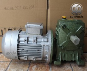 Hộp số giảm tốc trục vít wpda size 250