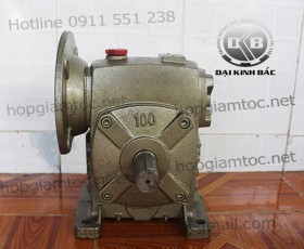 Hộp giảm tốc trục vít wpds size 100