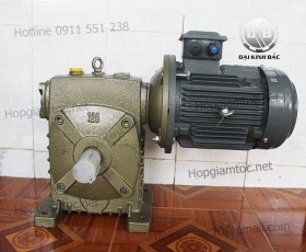 Hộp giảm tốc trục vít wpds size 120