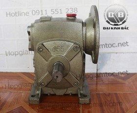 Hộp giảm tốc trục vít wpds size 155