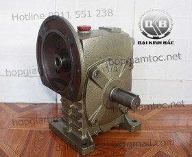 Hộp giảm tốc trục vít wpds size 175