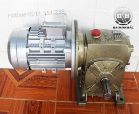 Hộp giảm tốc trục vít wpds size 200