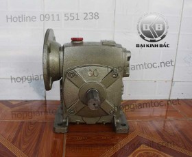 Hộp giảm tốc trục vít wpds size 60