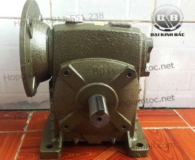 Hộp số giảm tốc trục vít wpds size 80