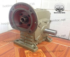 Hộp giảm tốc trục vít wpds size 50