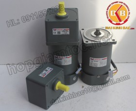 Motor 120W 90YS120GY22-90YB120GY22-90YS120GY38-90YB120GY38