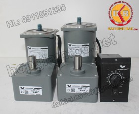 Motor 140W 100YS140GV22-100YT140GV22-100YB140GV22-100YF140GV22