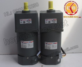 Motor 140W 100YS140GY22-100YB140GY22-100YS140GY38-100YB140GY38
