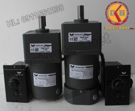 Motor 200W 100YS200GV22-100YT200GV22-100YB200GV22-100YF200GV22