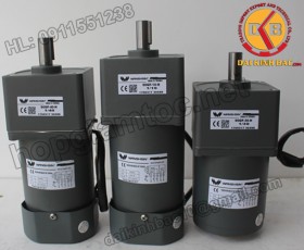 Motor 200W 100YS200GY22-100YB200GY22-100YS200GY38-100YB200GY38