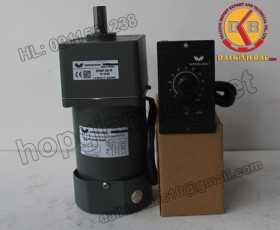 Motor 25W 80YS25GV22-80YR25GV22-80YT25GV22-80YB25GV22