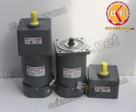 Motor 25W 80YS25GY22-80YR25GY22-80YB25GY22-80YS25GY38-80YR25GY38-80YB25GY38
