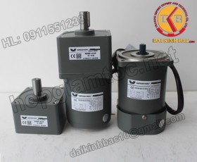 Motor 40W 90YS40GY22-90YB40GY22-90YS40GY38-90YB40GY38