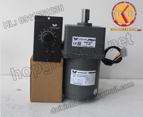 Motor 60W 90YS60GV22-90YR60GV22-90YT60GV22-90YF60GV22- 90YB60GV22