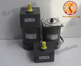 Motor 60W 90YS60GY22-90YB60GY22-90YS60GY38-90YB60GY38