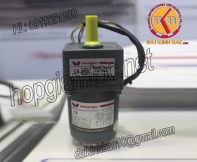 Motor 6W 60YT06GV22- 60YS06GV22- 60YR06GV22-60YB06GV22