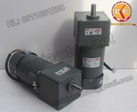 Motor 90W 90YS90GY22-90YB90GY22-90YS90GY38-90YB90GY38