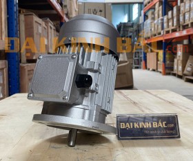 Motor điện 0.18kw 1/4hp