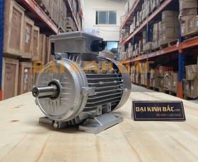 Motor điện 0.55kw 3/4hp