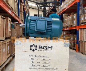 Motor điện 3kw 4hp