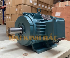 Motor điện 4kw 5.5hp