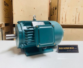 Motor điện 5.5kw 7.5hp