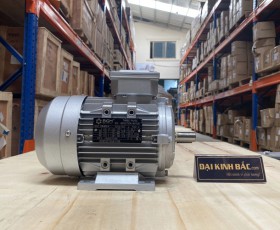 Motor điện MS-802-4 0.75kw 4P