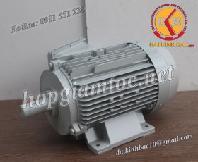 Motor điện Toshiba chân đế 3kw