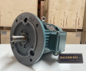Motor điện YE2-100L2-4 3Kw 4P