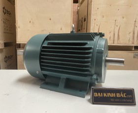 Motor điện YE2-112M-4 4Kw 4P