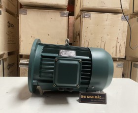 Motor điện YE2-132M-4 7.5Kw 10HP