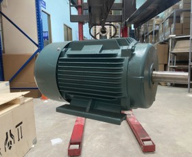 Motor điện YE2-160L-4 15Kw